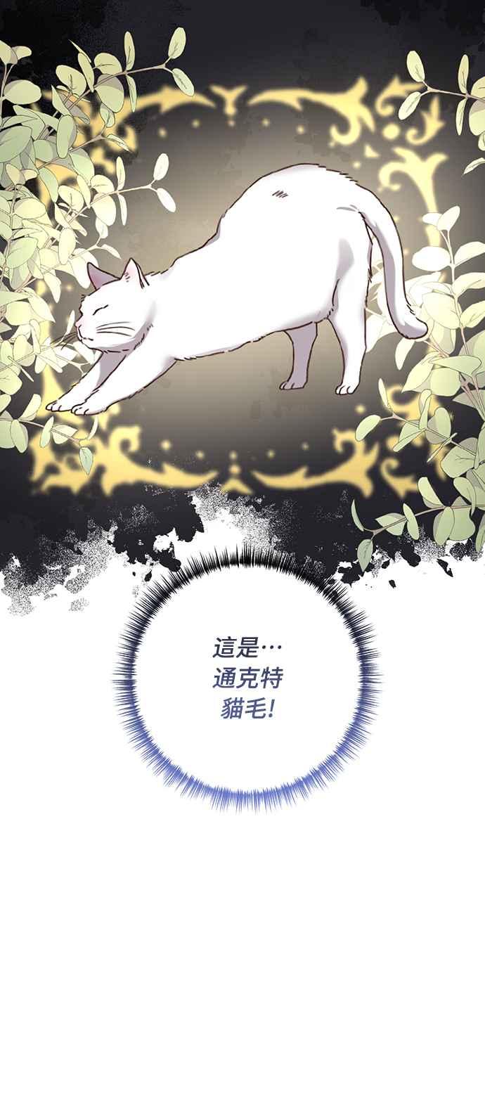 偏执男主的契约未婚妻 第54话 第50页