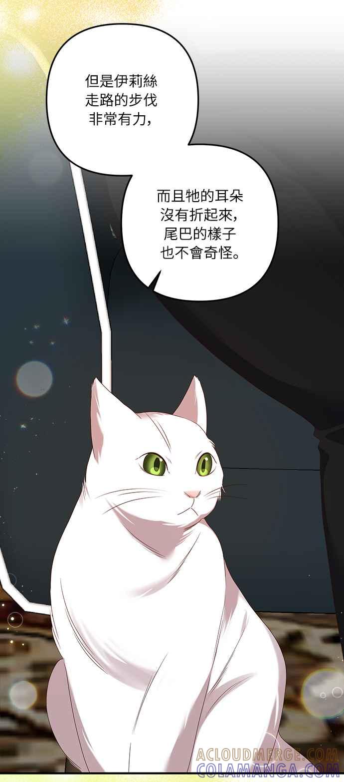 偏执男主的契约未婚妻 第55话 第37页