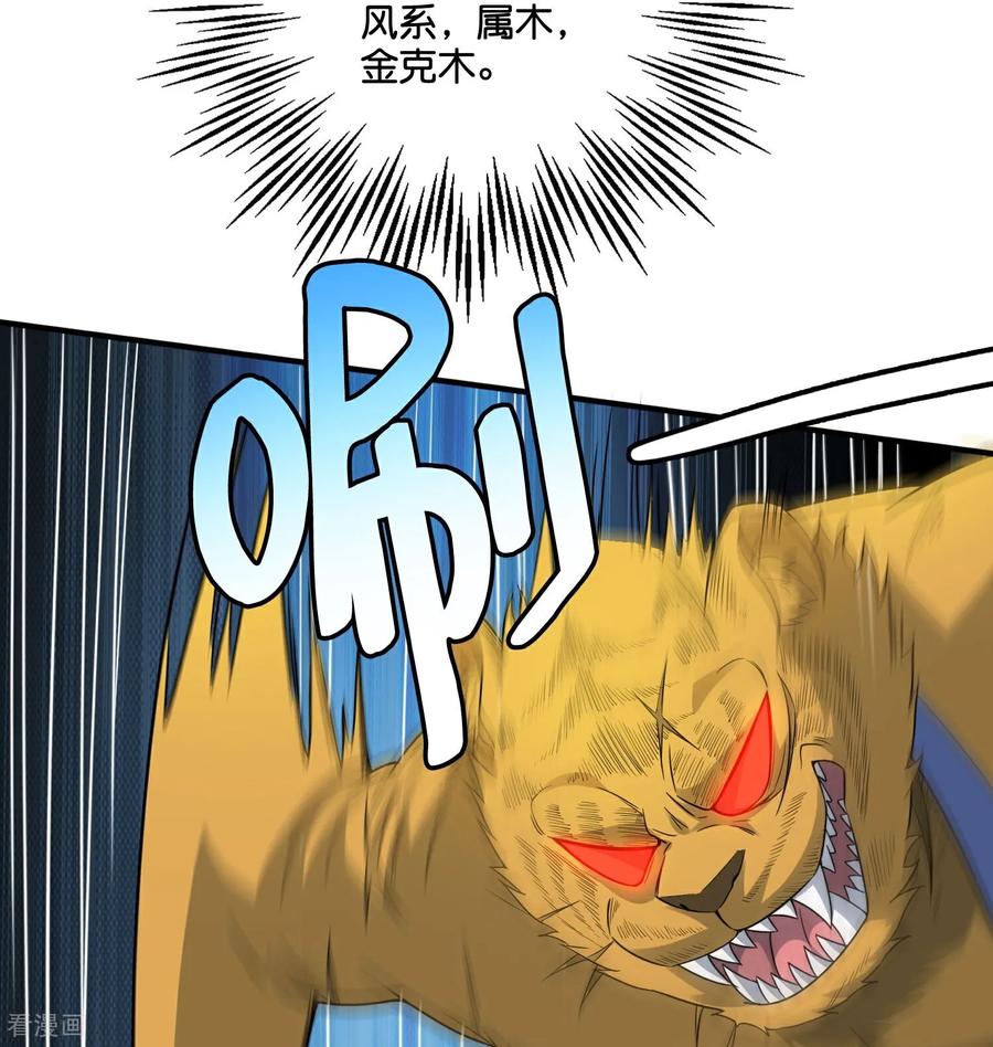 最强仙界朋友圈 第209话 回合制战斗 第14页