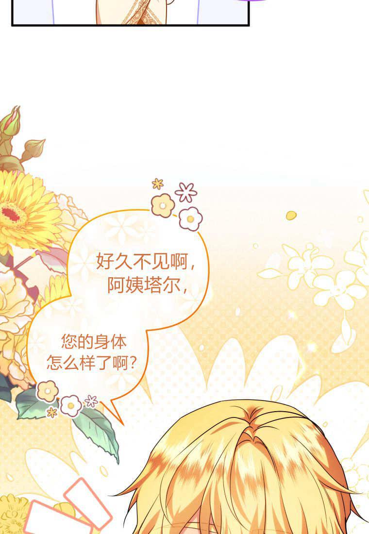 成为苏尔坦珍爱的猫咪 第46话 第12页