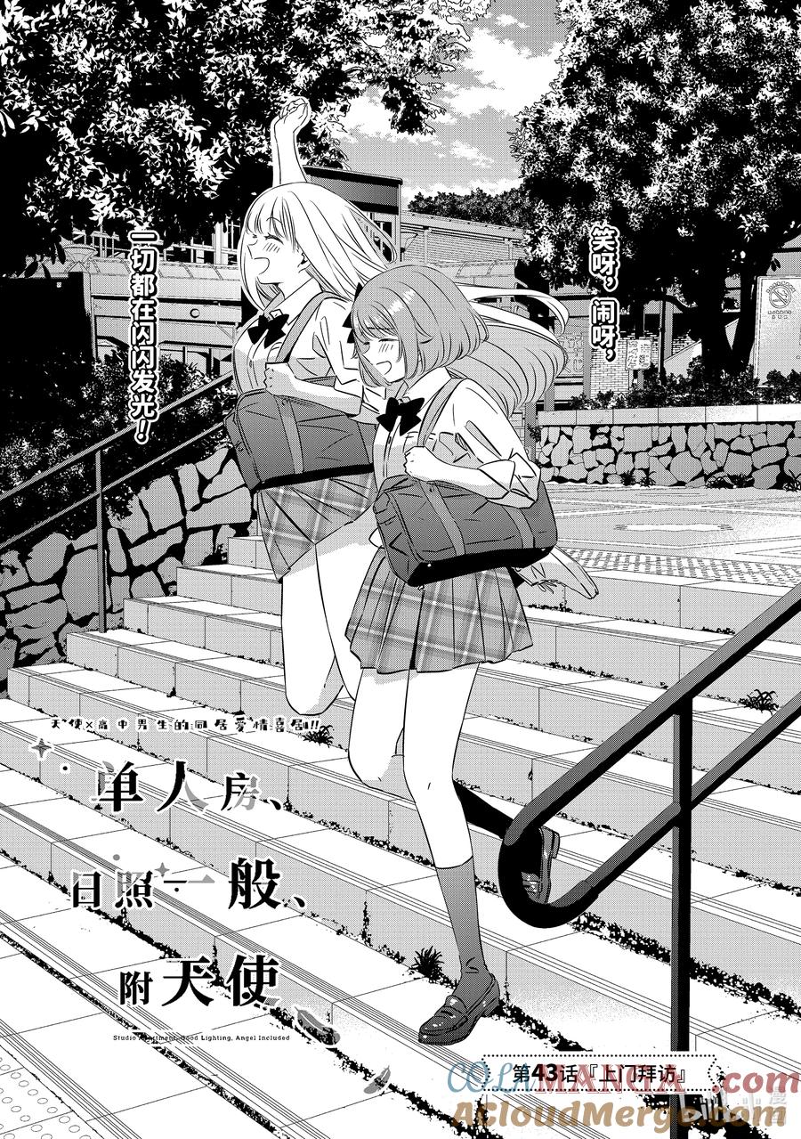 《单人房、日照一般、附天使》43 43 第3页