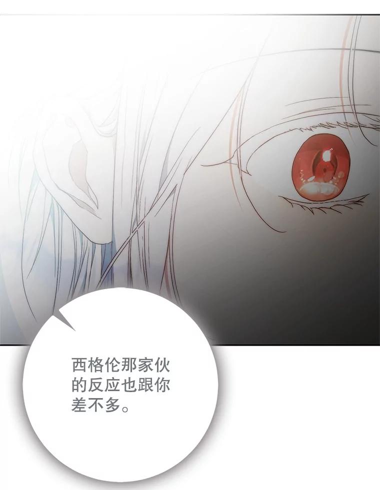 成为我笔下男主之妻 111.四个要求 第107页