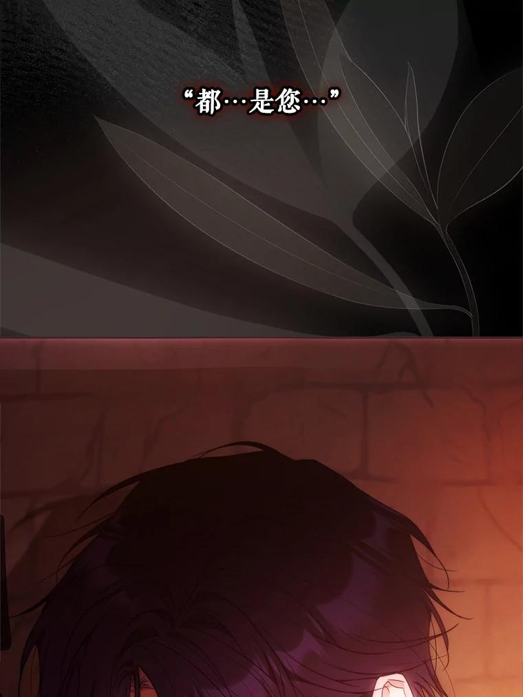 成为我笔下男主之妻 114.证人失踪 第51页