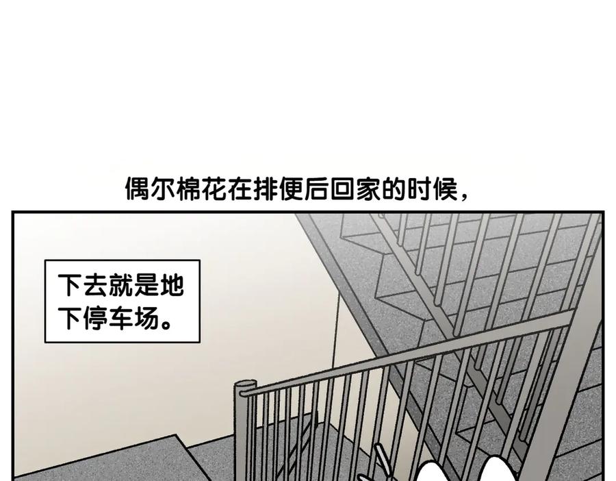《我的狗子叫棉花》第62话 地下停车场 第6页