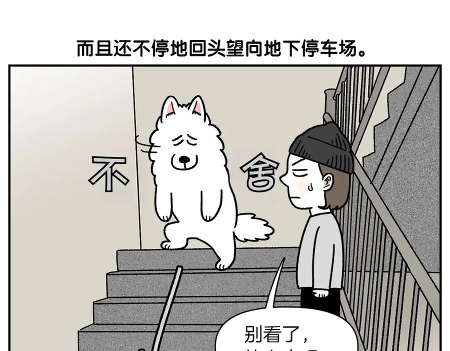 《我的狗子叫棉花》第62话 地下停车场 第18页
