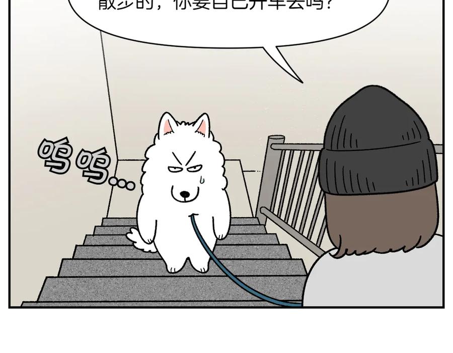 《我的狗子叫棉花》第62话 地下停车场 第12页