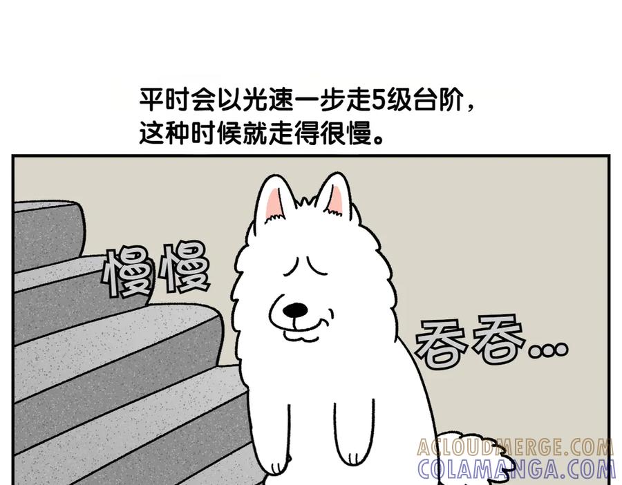 《我的狗子叫棉花》第62话 地下停车场 第16页