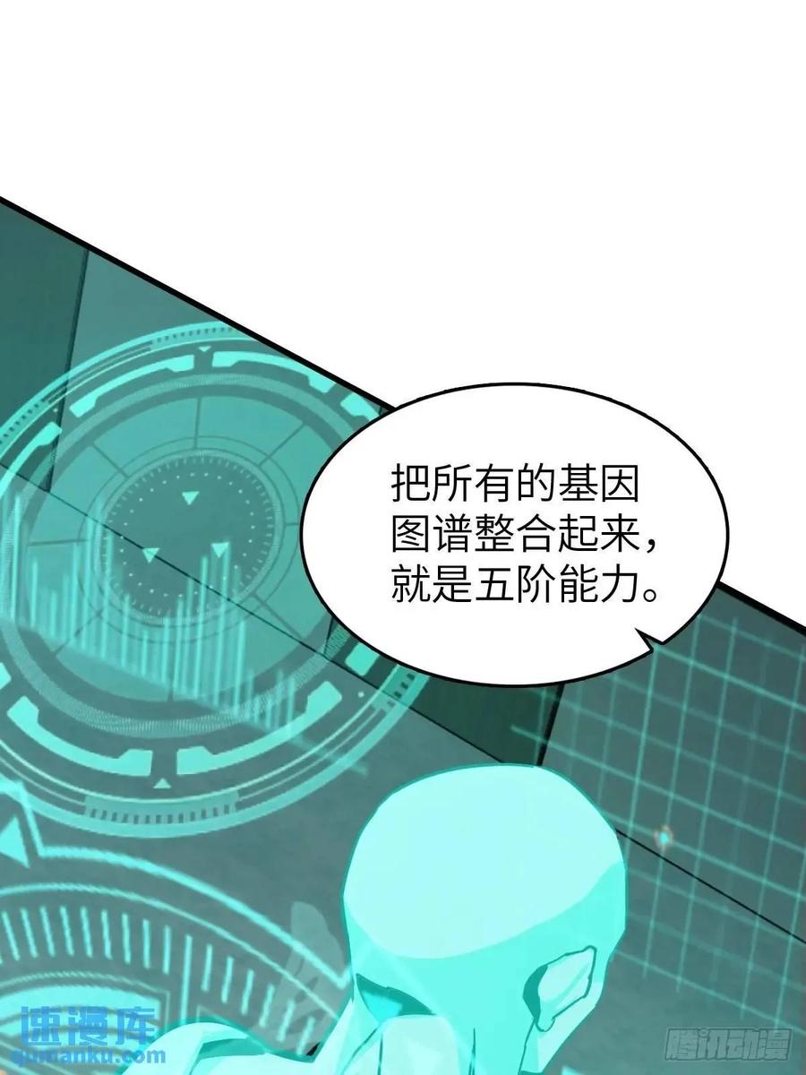 从姑获鸟开始 288 至高五阶！ 第2页