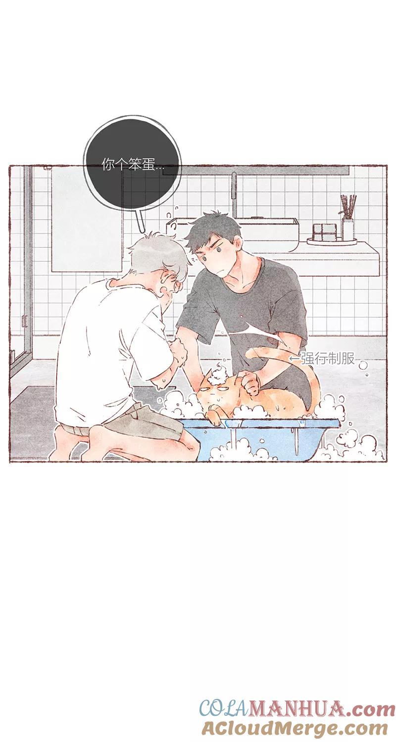 从谎言开始 第38话 第33页