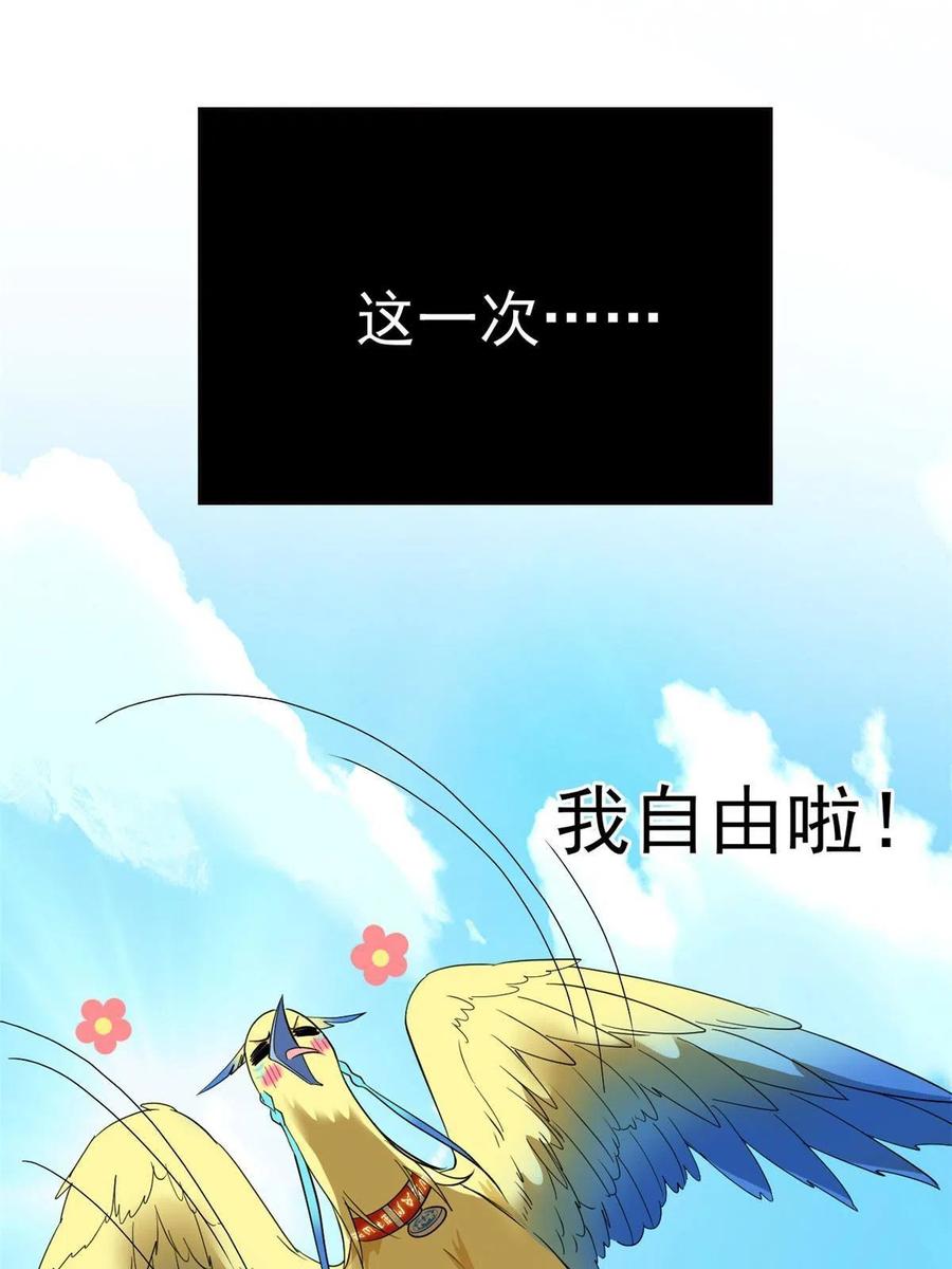 从精神病院走出的强者 123 我自由啦！不逃傻子 第32页