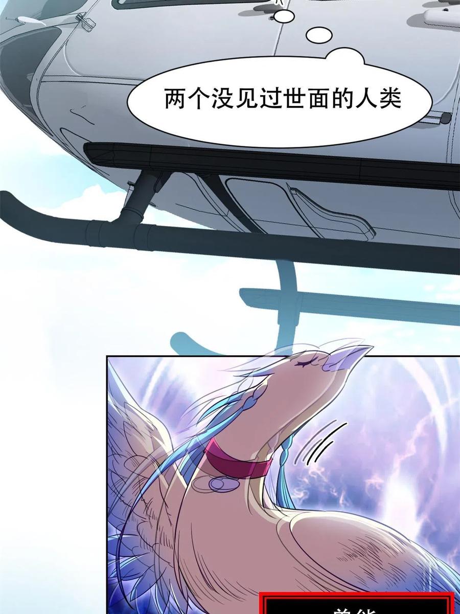 从精神病院走出的强者 128 公鸡过分，鹰鹰哭哭 第39页