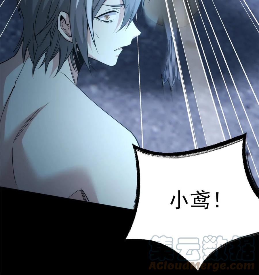 从精神病院走出的强者 149 鸡之忠义，不容质疑 第16页