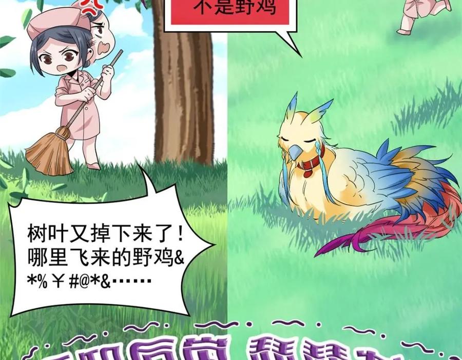 从精神病院走出的强者 180 不是野鸡，就是故意 第27页