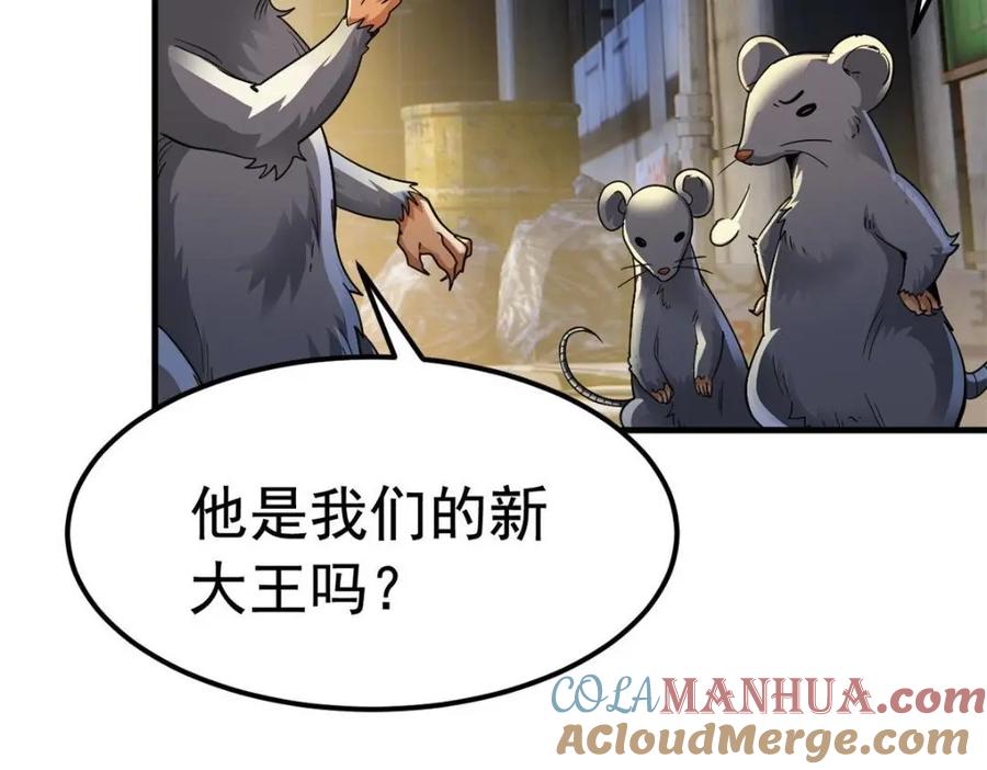 从精神病院走出的强者 182 老张醒醒，一起异域？ 第13页