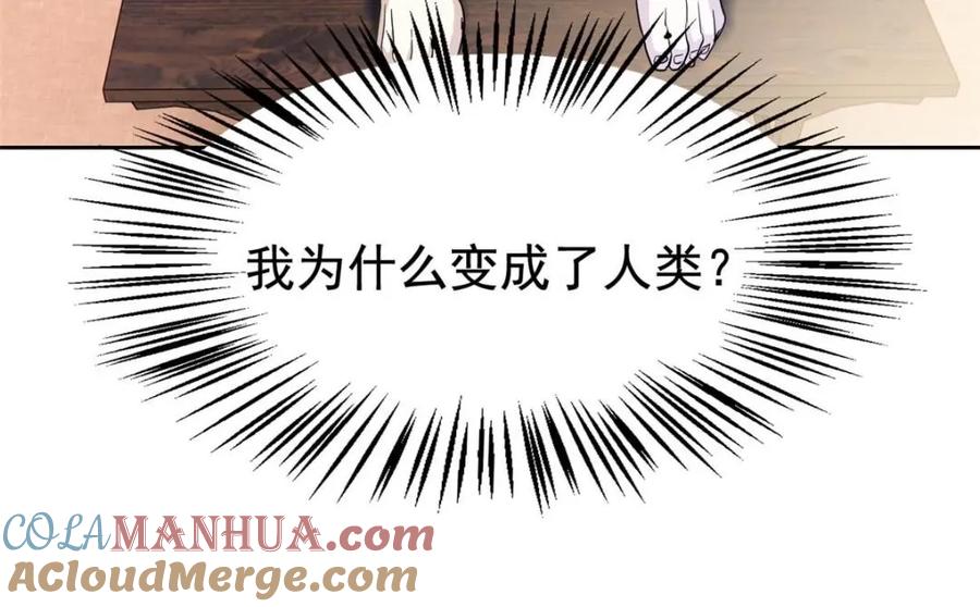 从精神病院走出的强者 185 性转母鸡，惨遭蹂躏 第41页