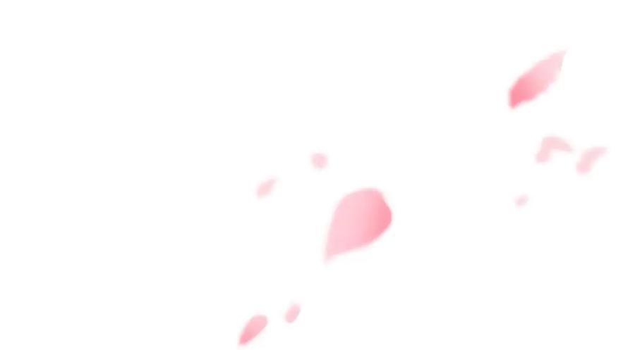 从精神病院走出的强者 206 说话算话，回来娶你 第66页