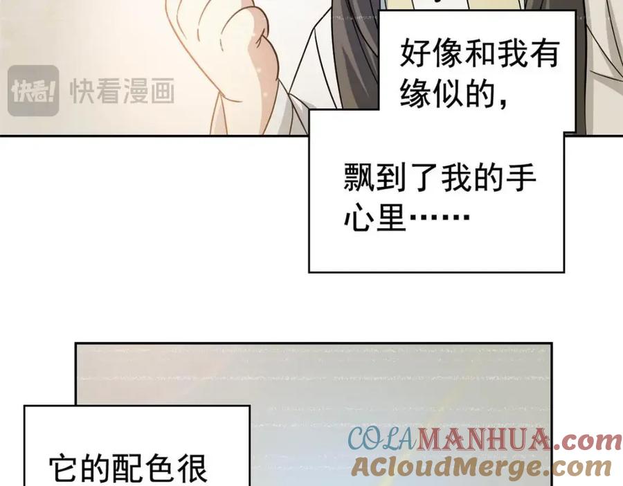 从精神病院走出的强者 206 说话算话，回来娶你 第93页
