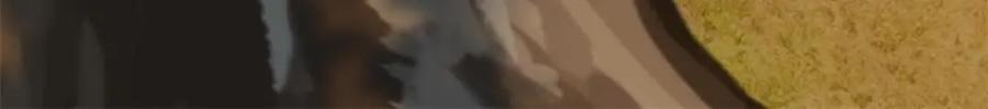 从精神病院走出的强者 206 说话算话，回来娶你 第120页