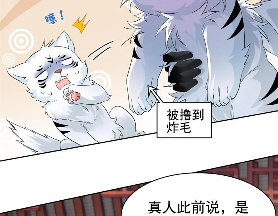 从精神病院走出的强者 207 你不是她，异域为别 第71页