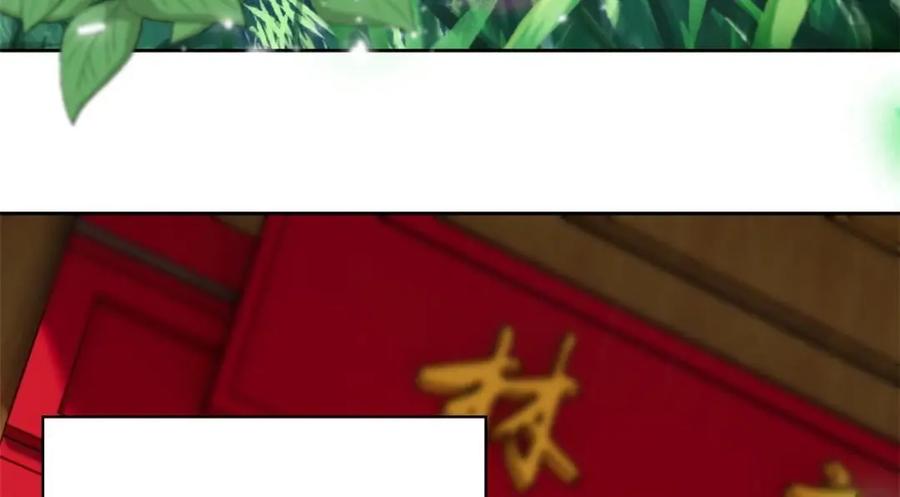 从精神病院走出的强者 207 你不是她，异域为别 第87页