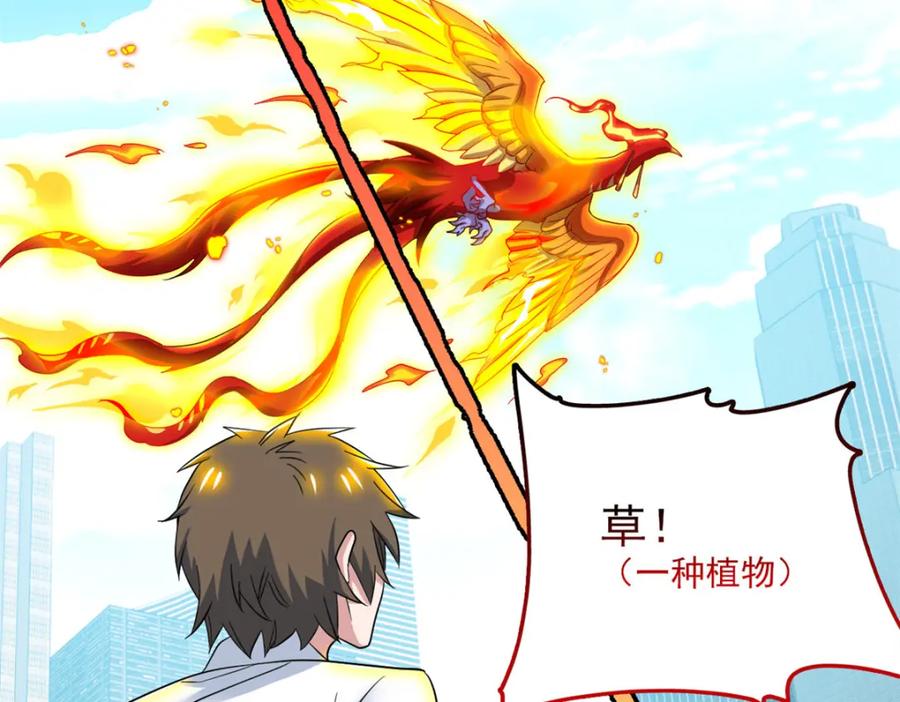 从精神病院走出的强者 217 统御之邪，三足金乌 第12页