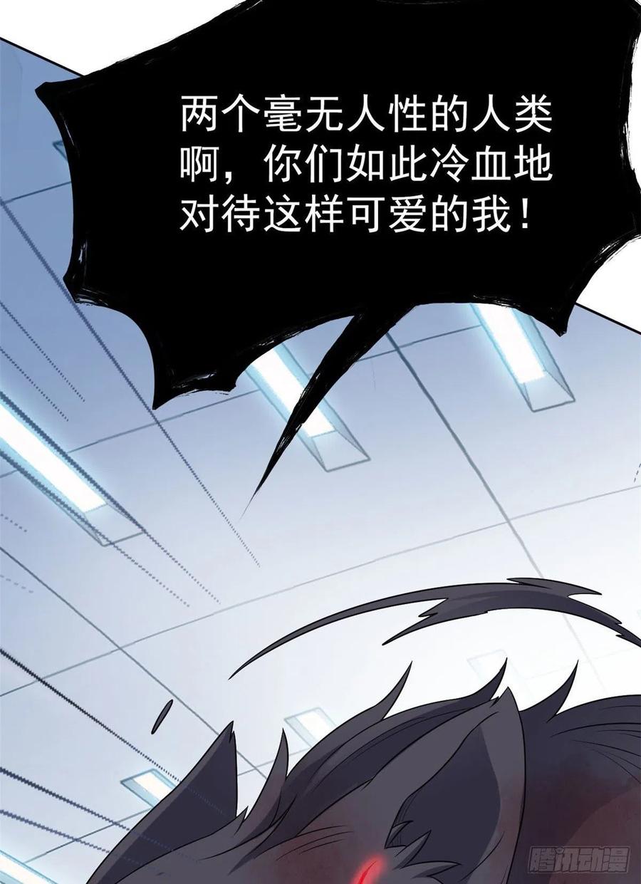 从精神病院走出的强者 22 他是几级强者 第23页
