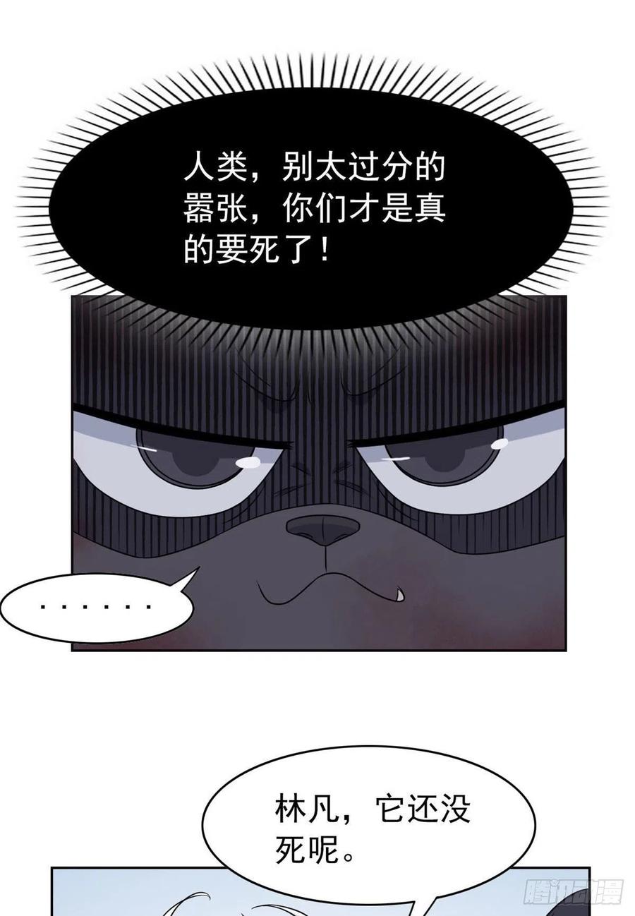 从精神病院走出的强者 22 他是几级强者 第13页
