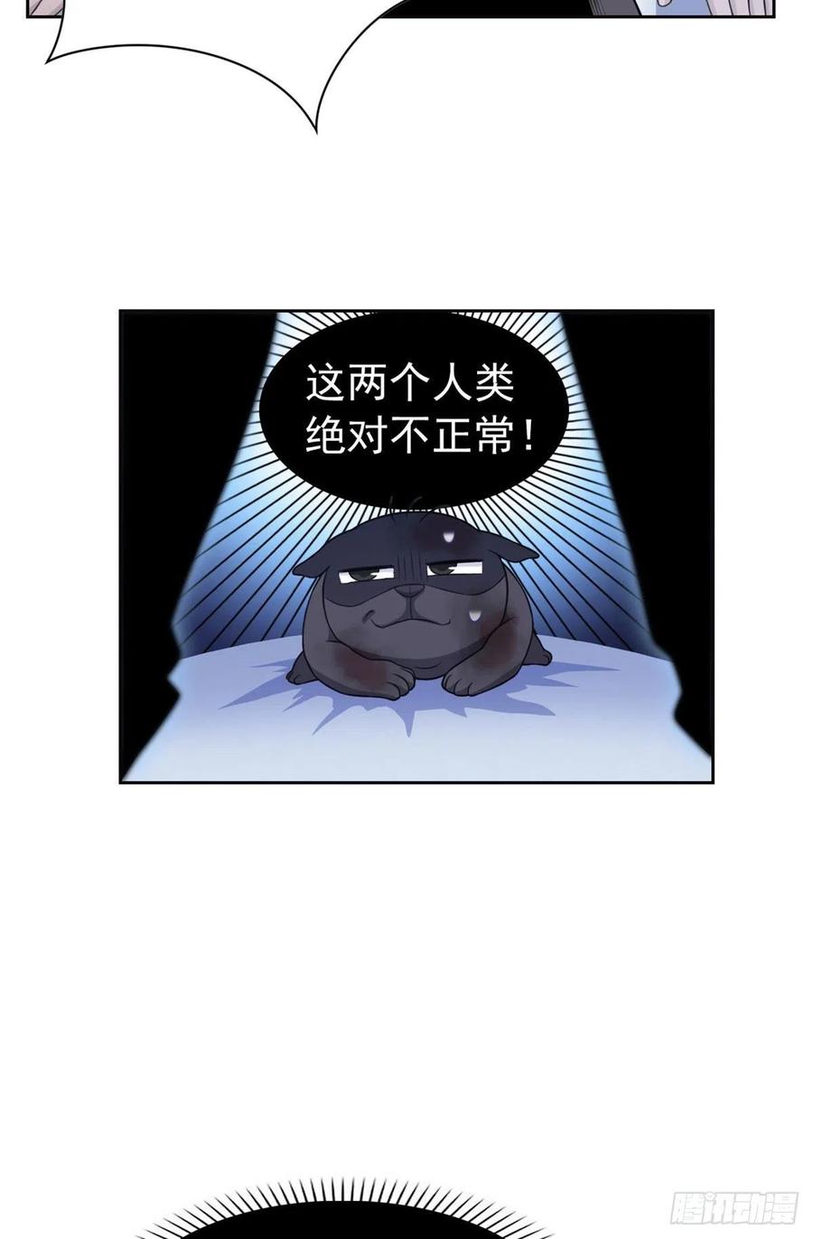 从精神病院走出的强者 22 他是几级强者 第9页