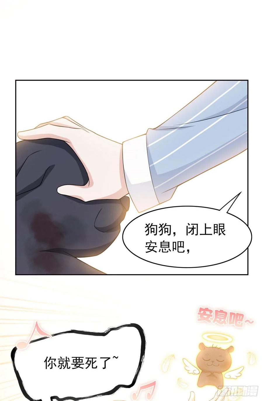 从精神病院走出的强者 22 他是几级强者 第11页