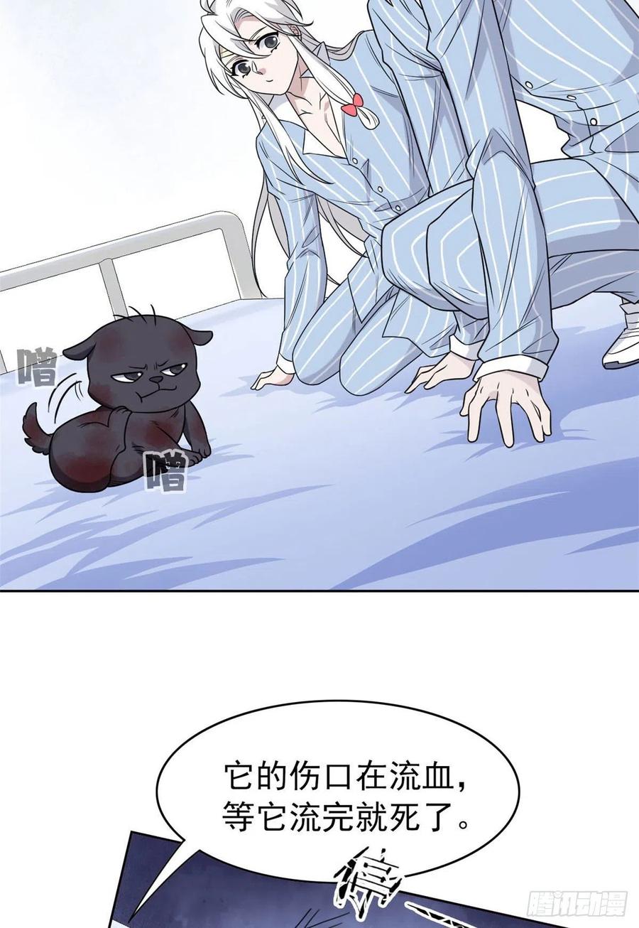 从精神病院走出的强者 22 他是几级强者 第15页