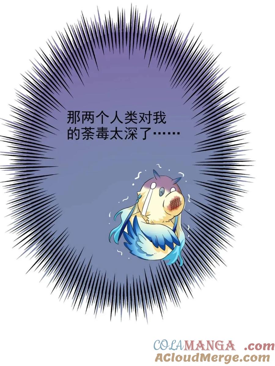 从精神病院走出的强者 237 下个蛋玩？我有病啊！ 第61页
