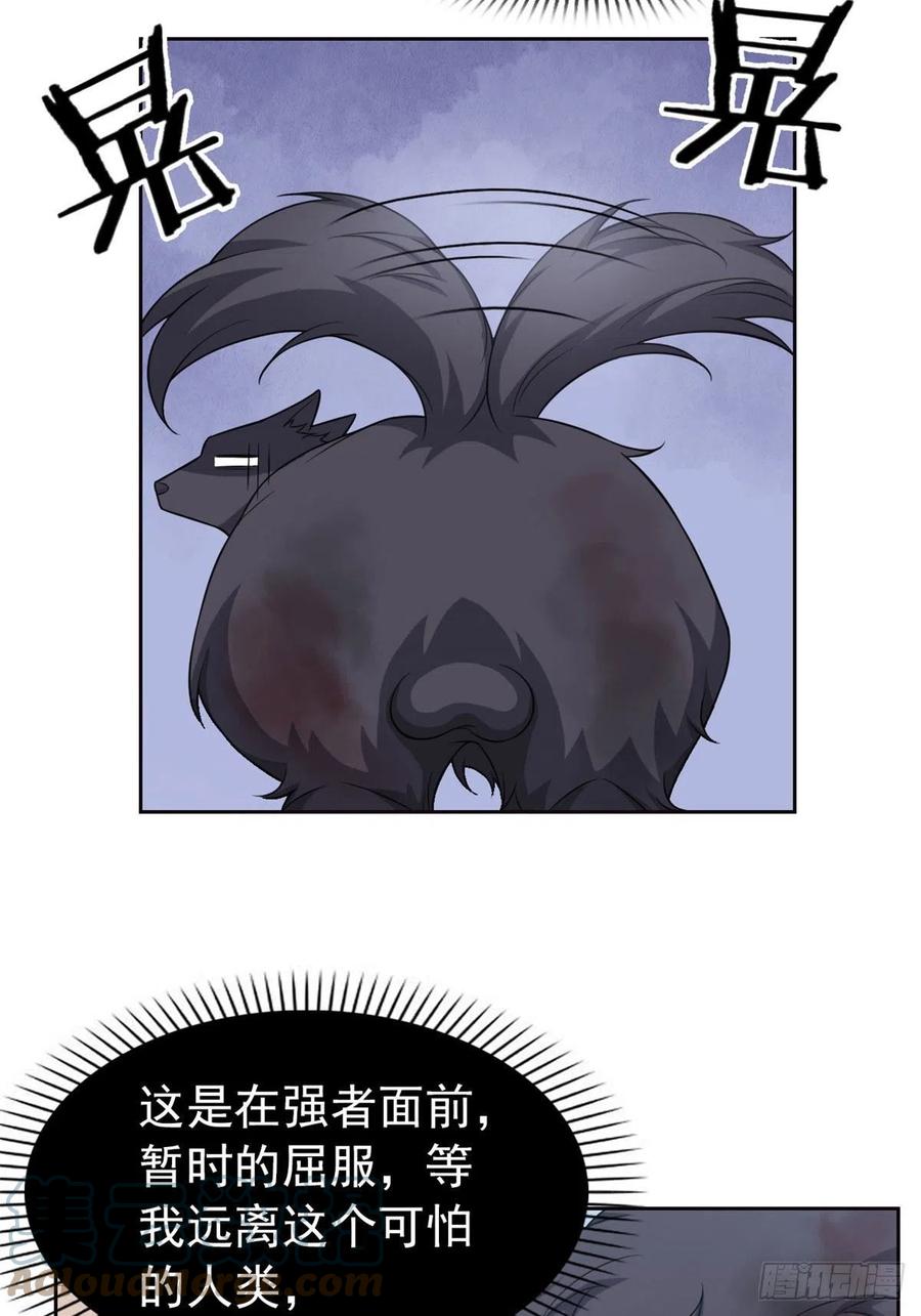 从精神病院走出的强者 23 人类恶魔，欺狗太盛 第9页