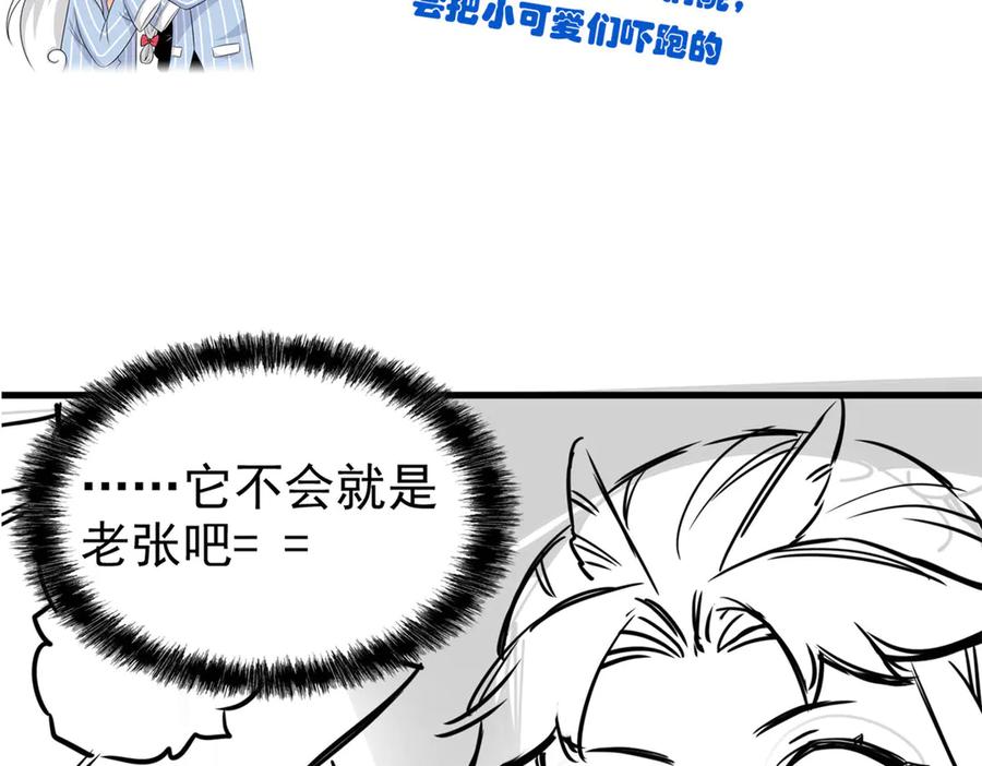 从精神病院走出的强者 258 凤凰拔毛，说谎代价 第84页