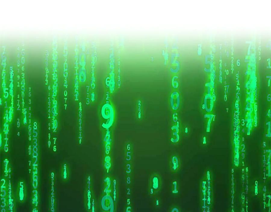 从精神病院走出的强者 302 只是宠物，他好帅啊 第56页