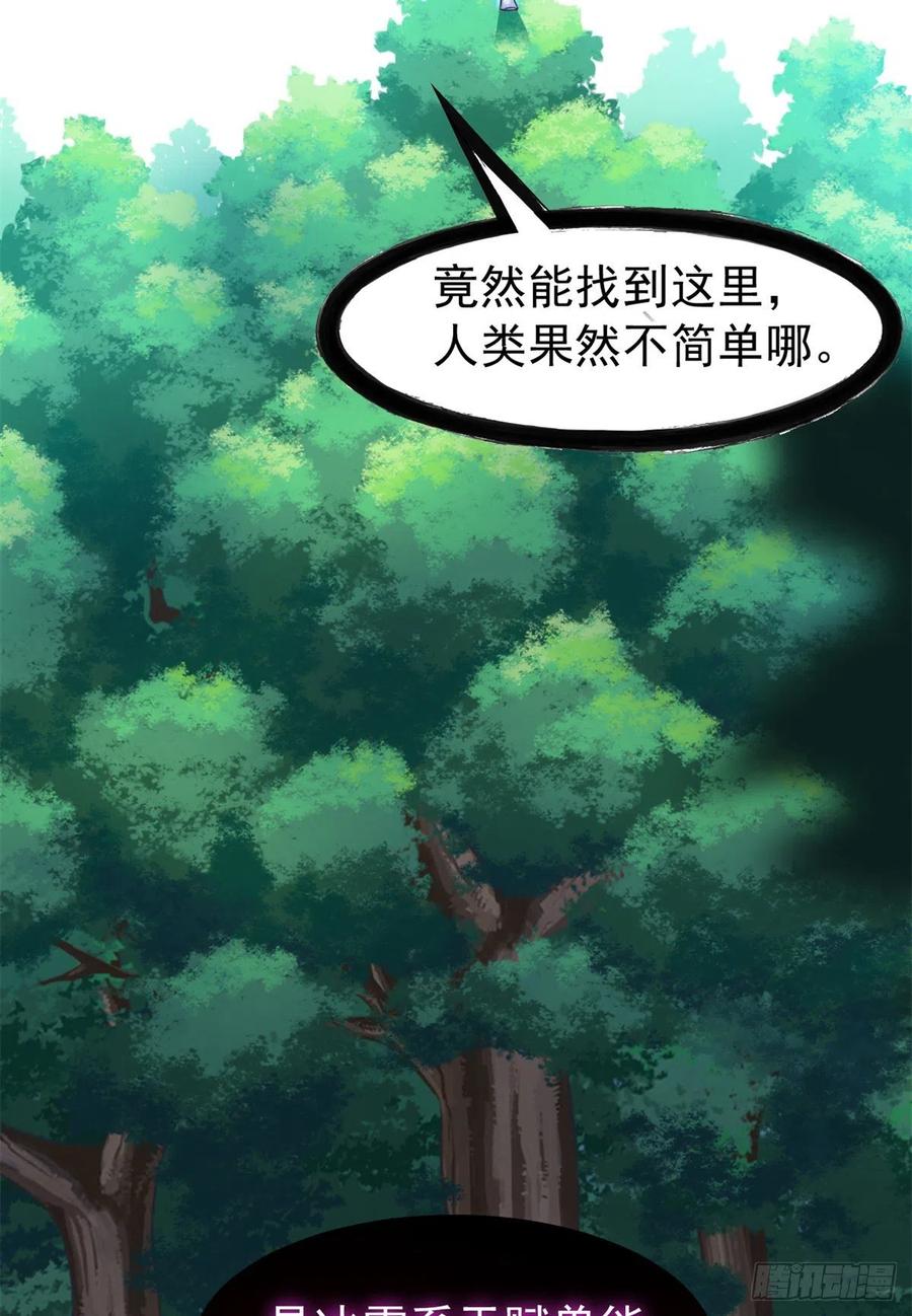 从精神病院走出的强者 65 森林深处，晓风残乐 第11页