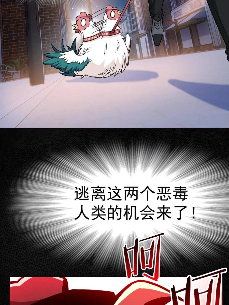 从精神病院走出的强者 79 公鸡领路，法王被坑 第38页