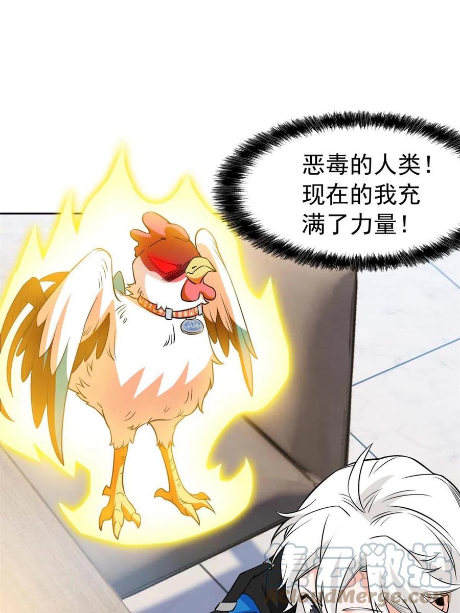 从精神病院走出的强者 81 叛徒公鸡，你个辣鸡 第28页