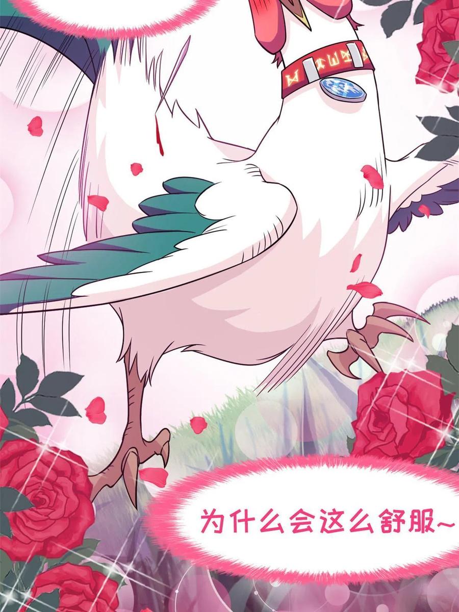 从精神病院走出的强者 83 鸡果然鸡，臭不要脸！ 第35页