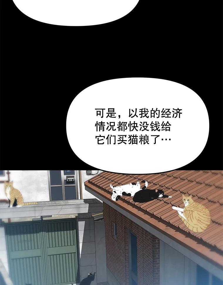 《彩虹桥守望者》18.猫瘟 第67页