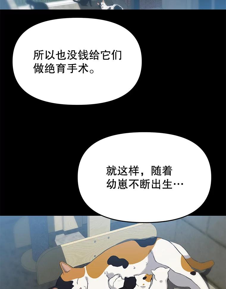 《彩虹桥守望者》18.猫瘟 第68页