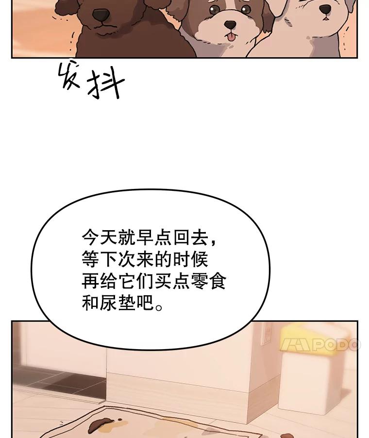 《彩虹桥守望者》18.猫瘟 第90页
