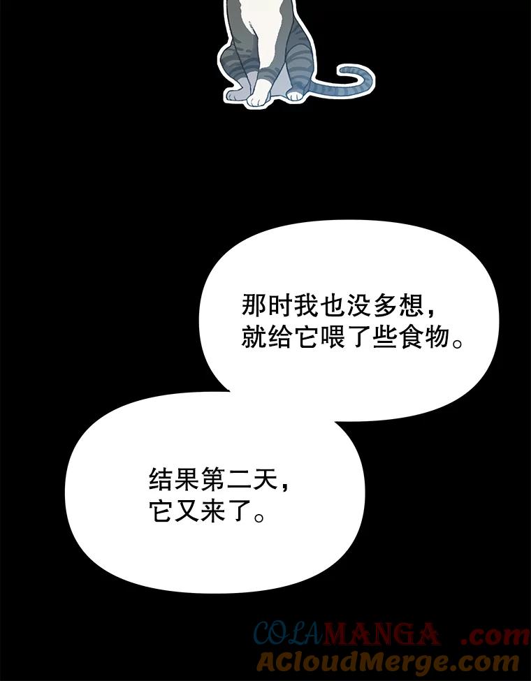 《彩虹桥守望者》18.猫瘟 第65页