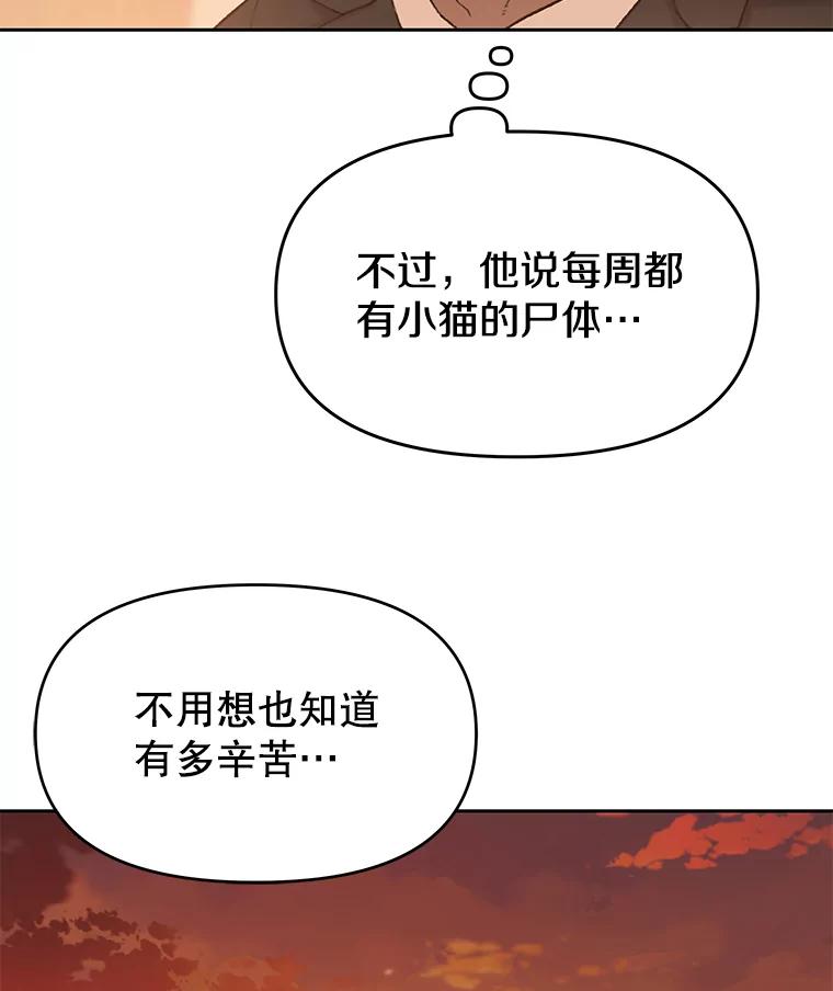 《彩虹桥守望者》18.猫瘟 第78页