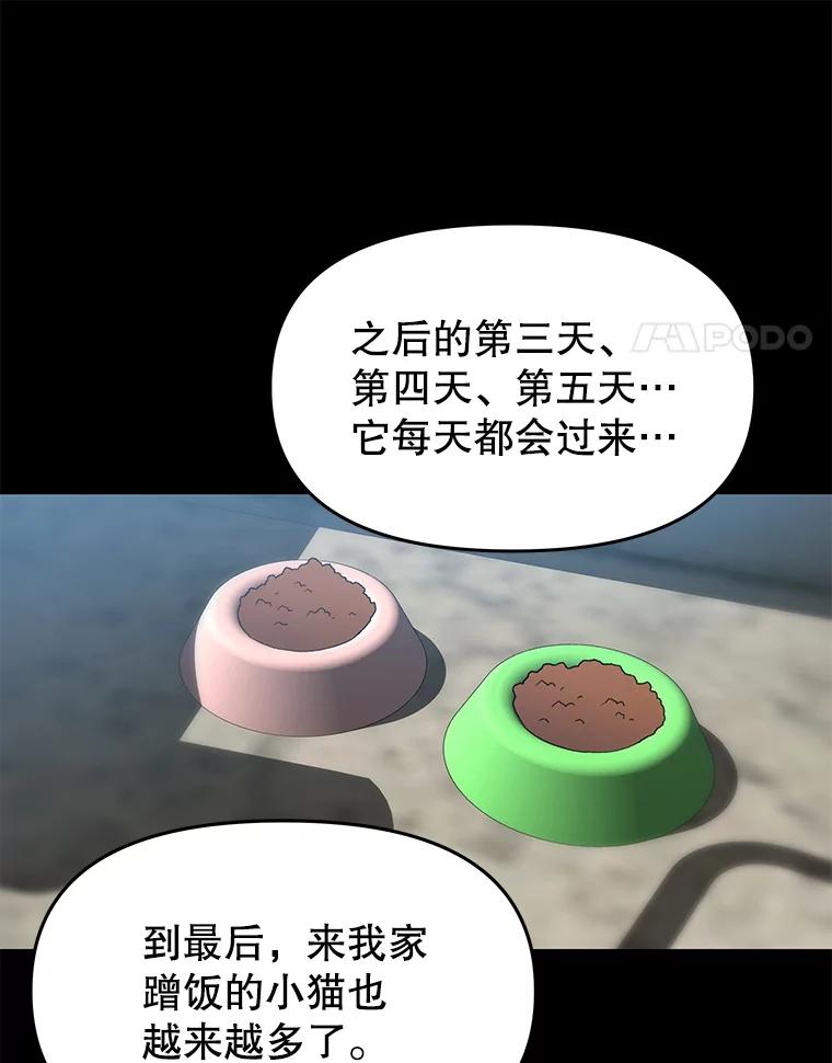 《彩虹桥守望者》18.猫瘟 第66页