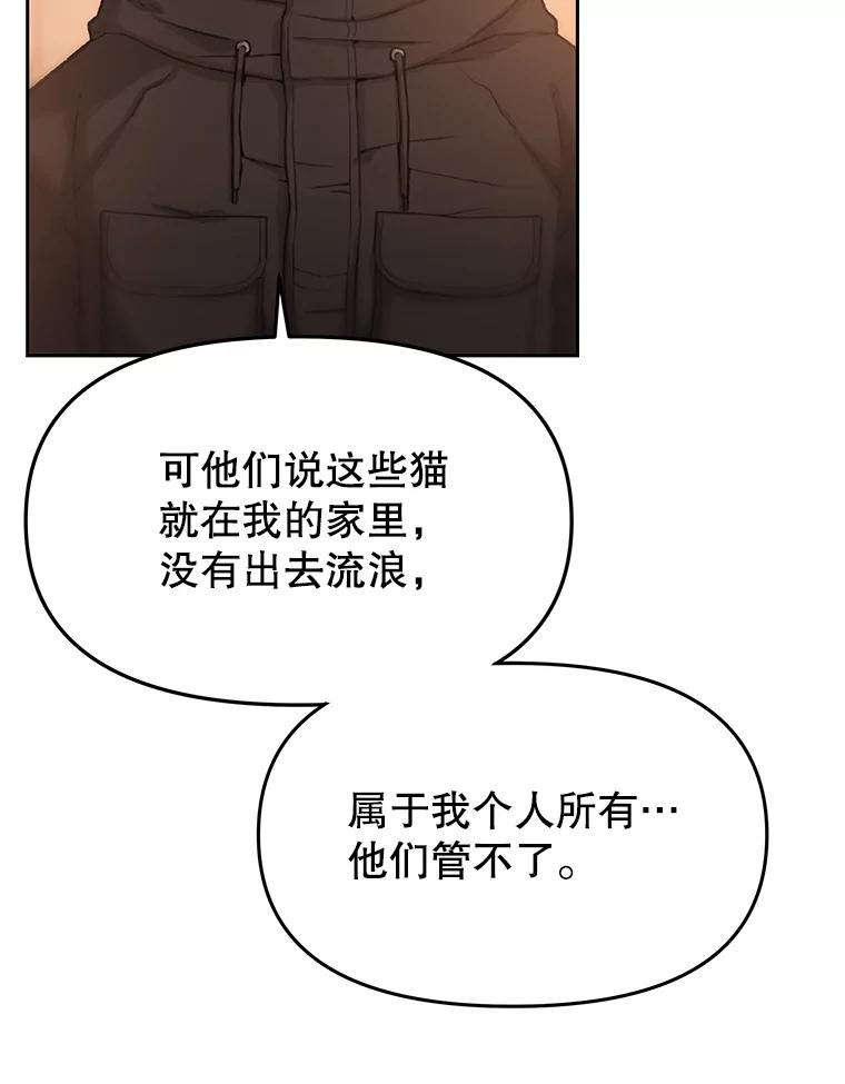 《彩虹桥守望者》18.猫瘟 第72页