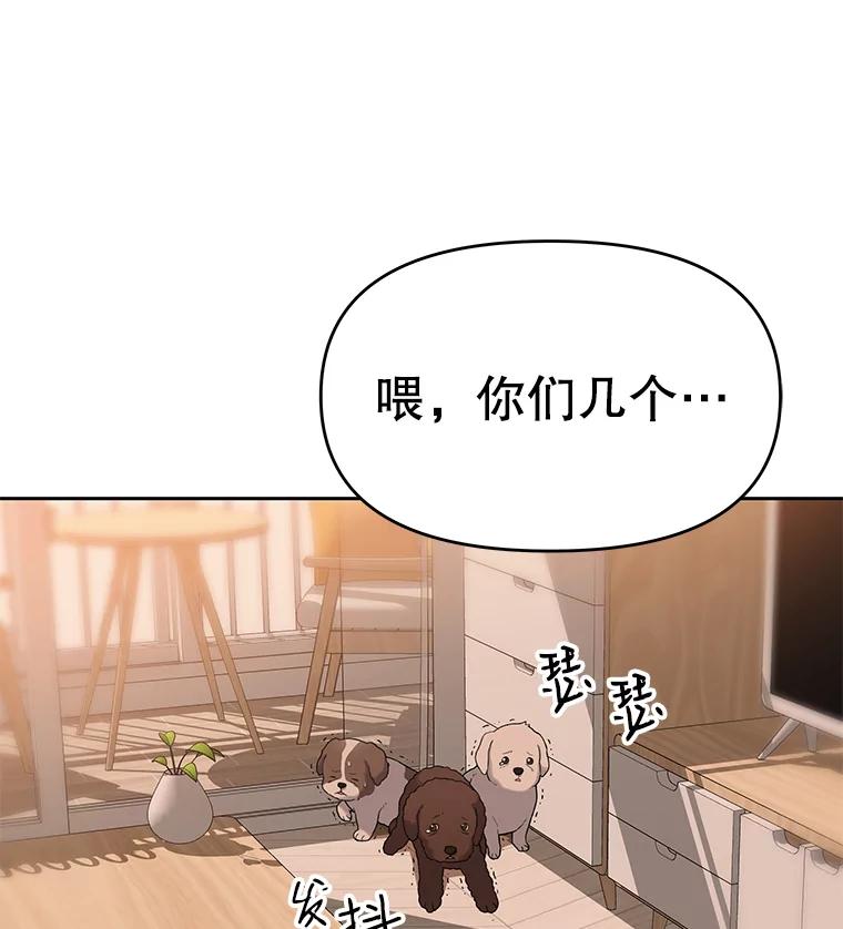 《彩虹桥守望者》18.猫瘟 第96页