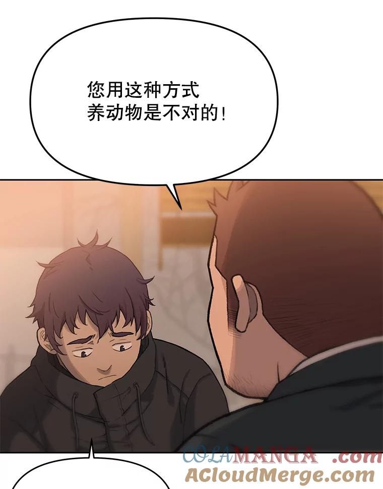 《彩虹桥守望者》18.猫瘟 第61页