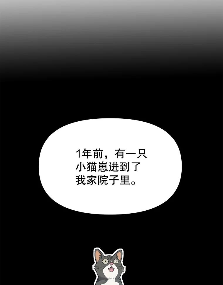 《彩虹桥守望者》18.猫瘟 第64页