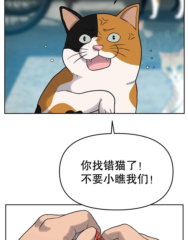 《彩虹桥守望者》19.“有演技”的女演员 第57页