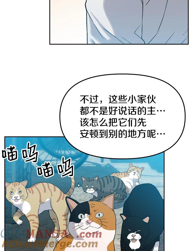 《彩虹桥守望者》19.“有演技”的女演员 第49页